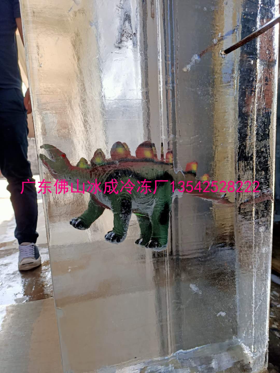 ͸